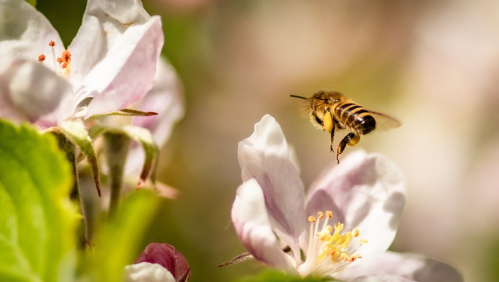 CONHEÇA OS CUIDADOS ESSENCIAIS PARA CURTIR A PRIMAVERA COM SAÚDE